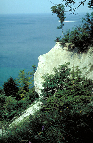 Møns klint