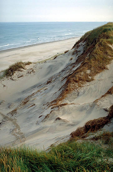 White dunes